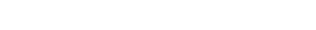 POLITISCHE ZIELE