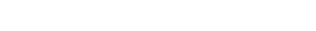 POLITISCHE ZIELE